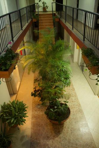 Hotel Pacifico Cerca al Aeropuerto in Palmira