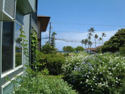 Hale Pua Villa - Seaside Studio - main image