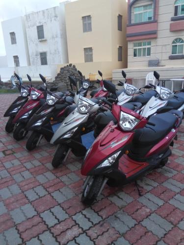 情定海豚湾民宿 情定海豚湾民宿