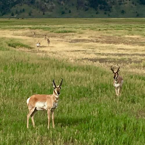 六牧场之心酒店 六牧场之心酒店