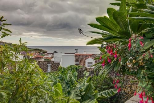 สวน, epicenter SANTACRUZ in ปอนตา เดลกาดา