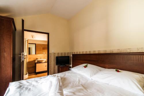 Perła Karkonoszy SPA - W samym centrum Karpacza – Karpacz, WI