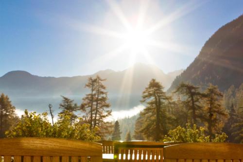 Gasthaus Spinas - image 8