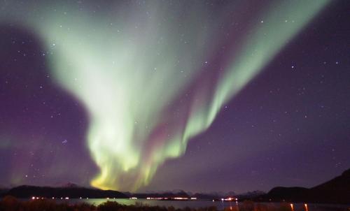 Toftenes Sjøhuscamping - image 7