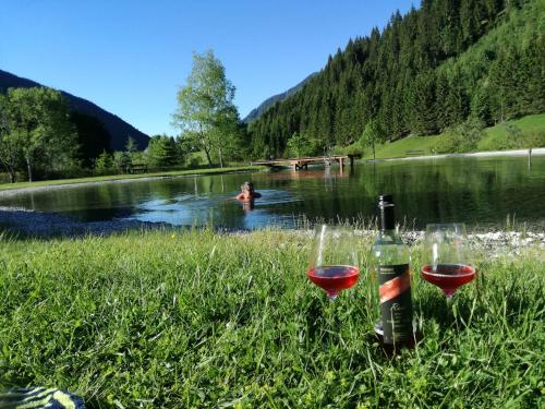 Familien & Wander-Pension Purkhardt – Donnersbachwald, NV