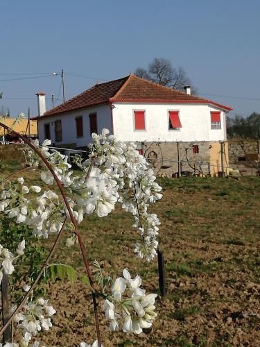 Casa da Vinha Grande chambre d'hôte Presequeda