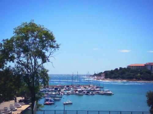 ApartHotel Viola in Pula