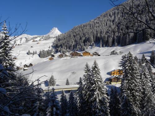 Hotel Alpenblume – Damüls, NE