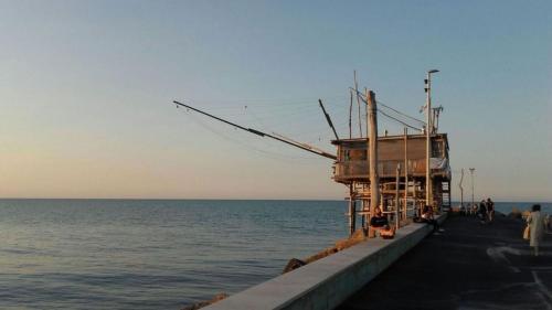 B&B Stella dell'Adriatico - image 3