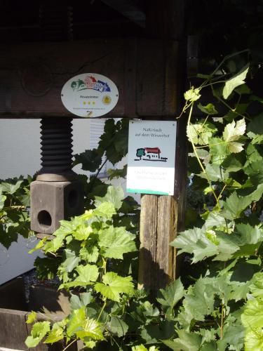 Bed & Breakfast Sandra Müller – Burg (Mosel)