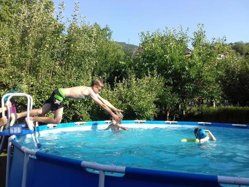 Guest House Dimitrije - image 3