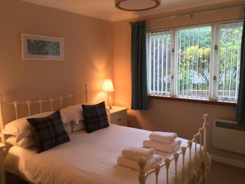 Waun Wyllt Country Inn