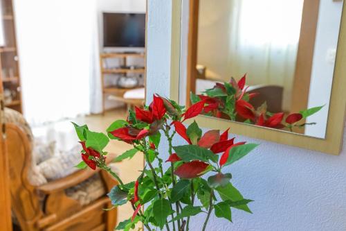  Kuća za Odmor - Bruno in Savar