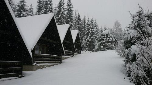 Family Bungalow