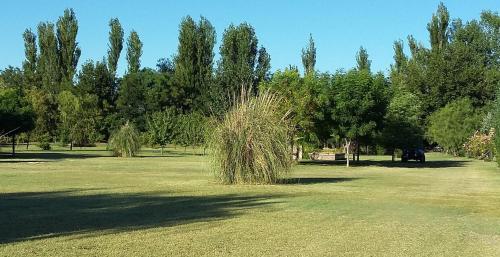 Cabanas Las Madrigueras