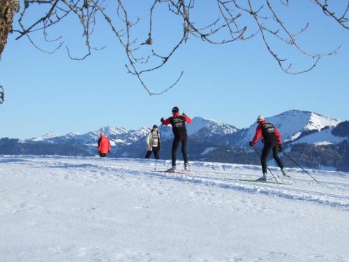 Haus Adlerhorst - image 7