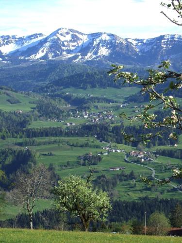 Haus Adlerhorst - image 10