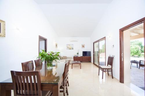 Can Melis - image 5