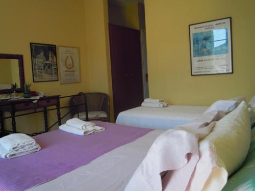 Blue Dolphin - image 3