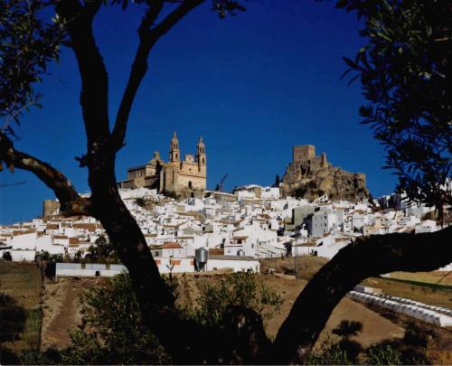 Complejo Pueblo Blanco - image 6