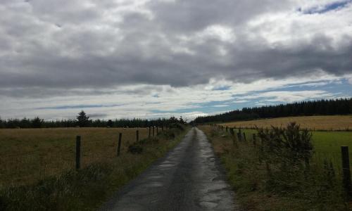 Macreddin Rock Bed & Breakfast - image 8