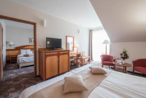 Vitalmed Hotel Sárvár - image 5