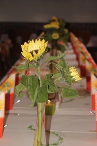 Restaurante, Hotel-Gasthof Post in Rothenburg Ob Der Tauber