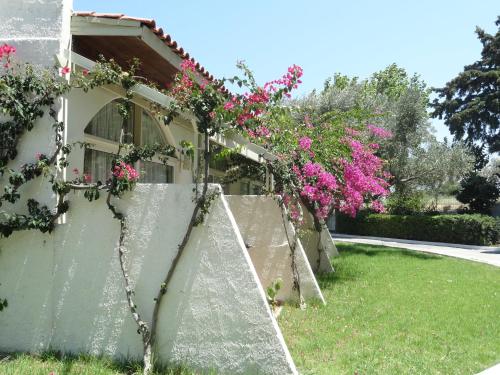 Superior Bungalow image 3