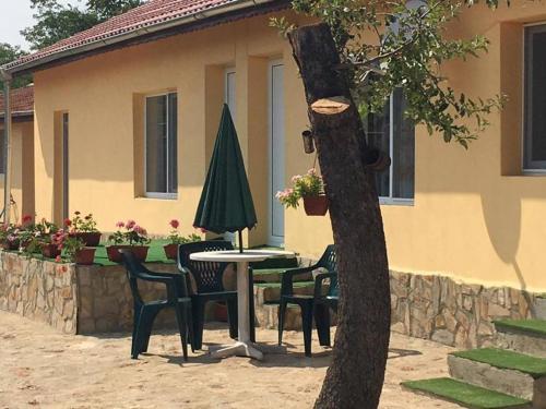Guest House Viola in كافارنا