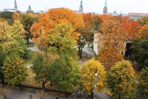 Old Riga Romantic Loft - image 14