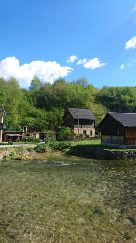 House Marijan