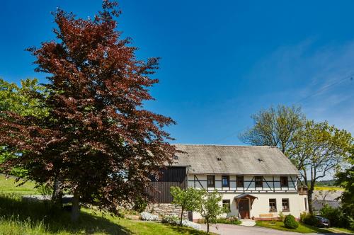 Berghof - Apartment - Zeulenroda