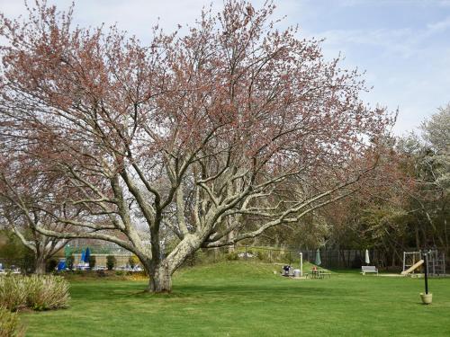 East Hampton House Resort - image 5