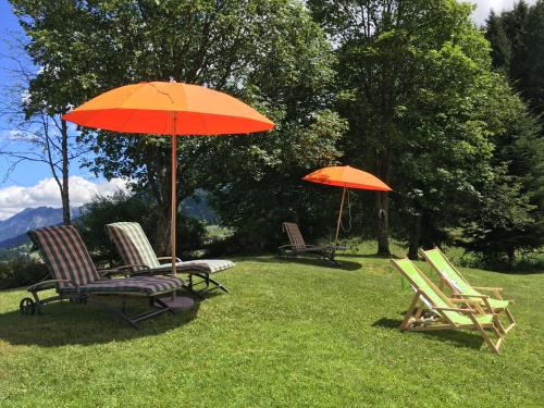 Hotel Gemma- Adults only - image 6