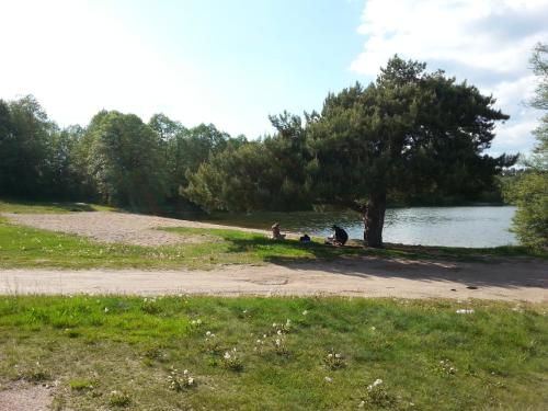 Cudodomek na Mazurach w Woszczelach koło Ełku Cudodomek na Mazurach w Woszczelach koło Ełku