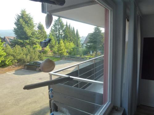 Moderne, ruhige Ferienwohnung in Braunlage Harz inkl WLAN & Netflix in Braunlage, Deutschland