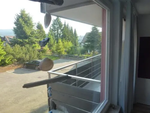Moderne, ruhige Ferienwohnung in Braunlage Harz inkl WLAN & Netflix in Braunlage, Deutschland