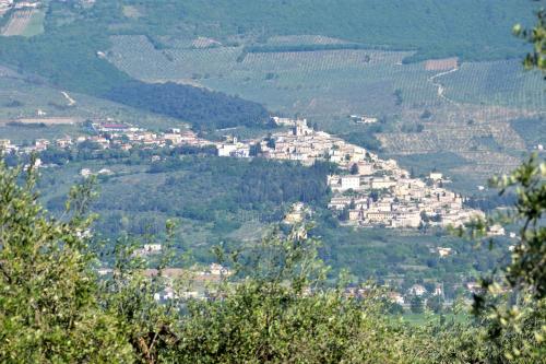 B&B La Madonnina - image 6