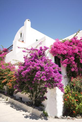 Costa Marina Villas - image 11