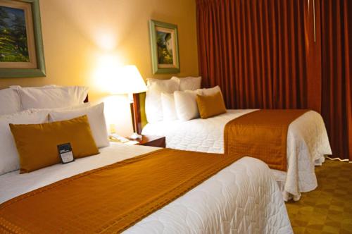 Hotel Honduras Maya 洪都拉斯玛雅图片