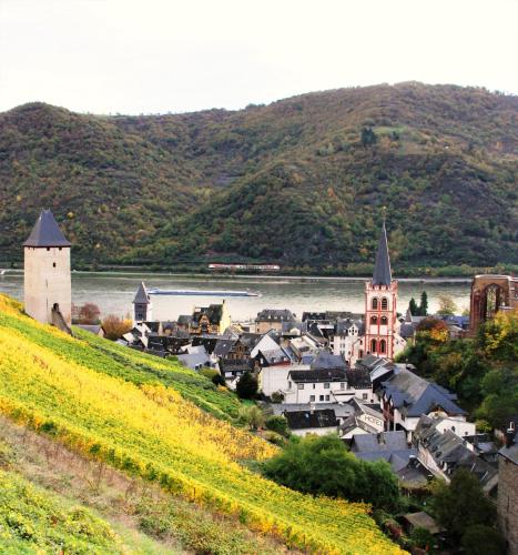 Ferienwohnungen-In-Bacharach