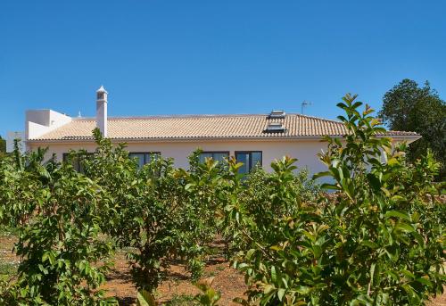 Mercedes Country House - image 9