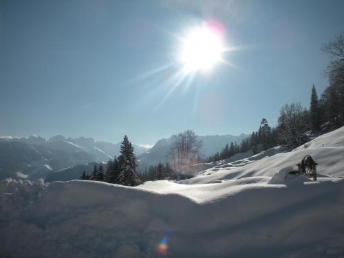 สภาพแวดล้อมโดยรอบ, Riedlhof in ฮอฟ เบย์ ซาลซ์บูร์ก