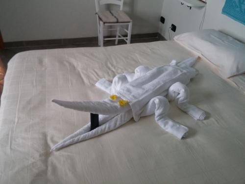 2 twin beds