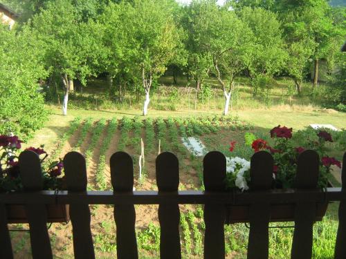  Apartment Jopa in Korenica