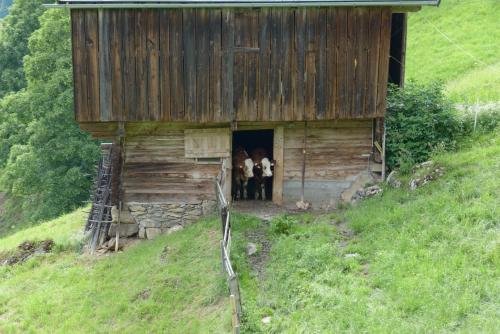 Bergpension-Ebental