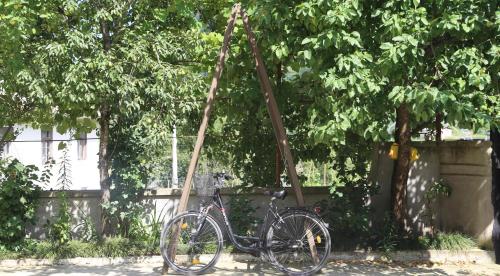 . Tako & Irakli Guesthouse