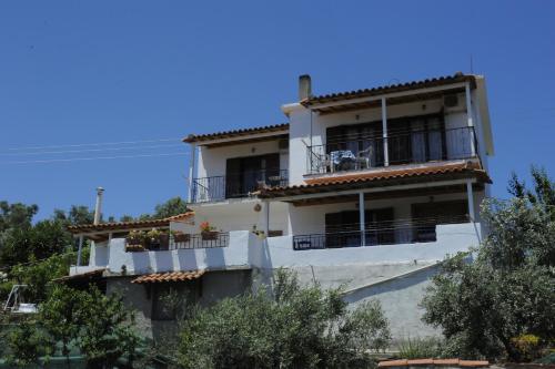 Camelia studios - image 10