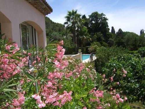 Au vallon rouge (Suite double) - Chambre d'hôtes - Saint-Paul-de-Vence