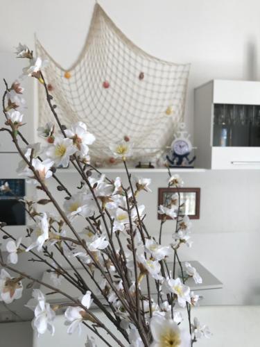 B&B Cagliari Ariosto